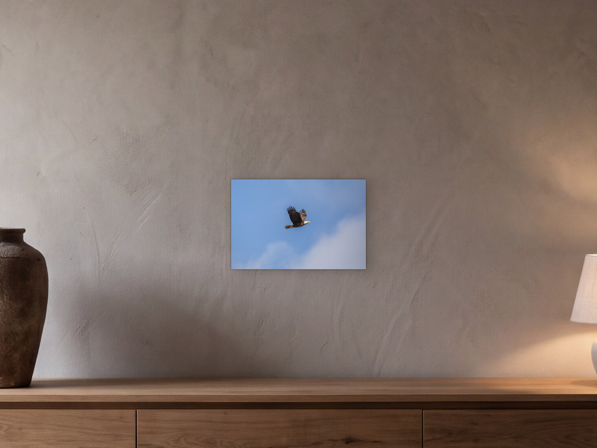 American Bald Eagle shown in a beamed room with a greige plaster wall above a long oak sideboard - scale render at 45 × 30 cm