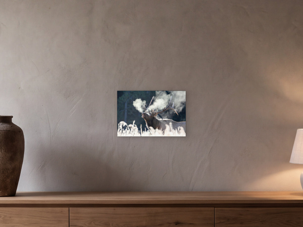 Bull elk bugling, frosty morning, Canyon shown in a beamed room with a greige plaster wall above a long oak sideboard - scale render at 45 × 30 cm