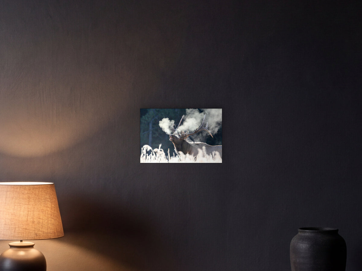 Bull elk bugling, frosty morning, Canyon shown in a graphite plaster wall at night, lit by a console lamp - scale render at 45 × 30 cm