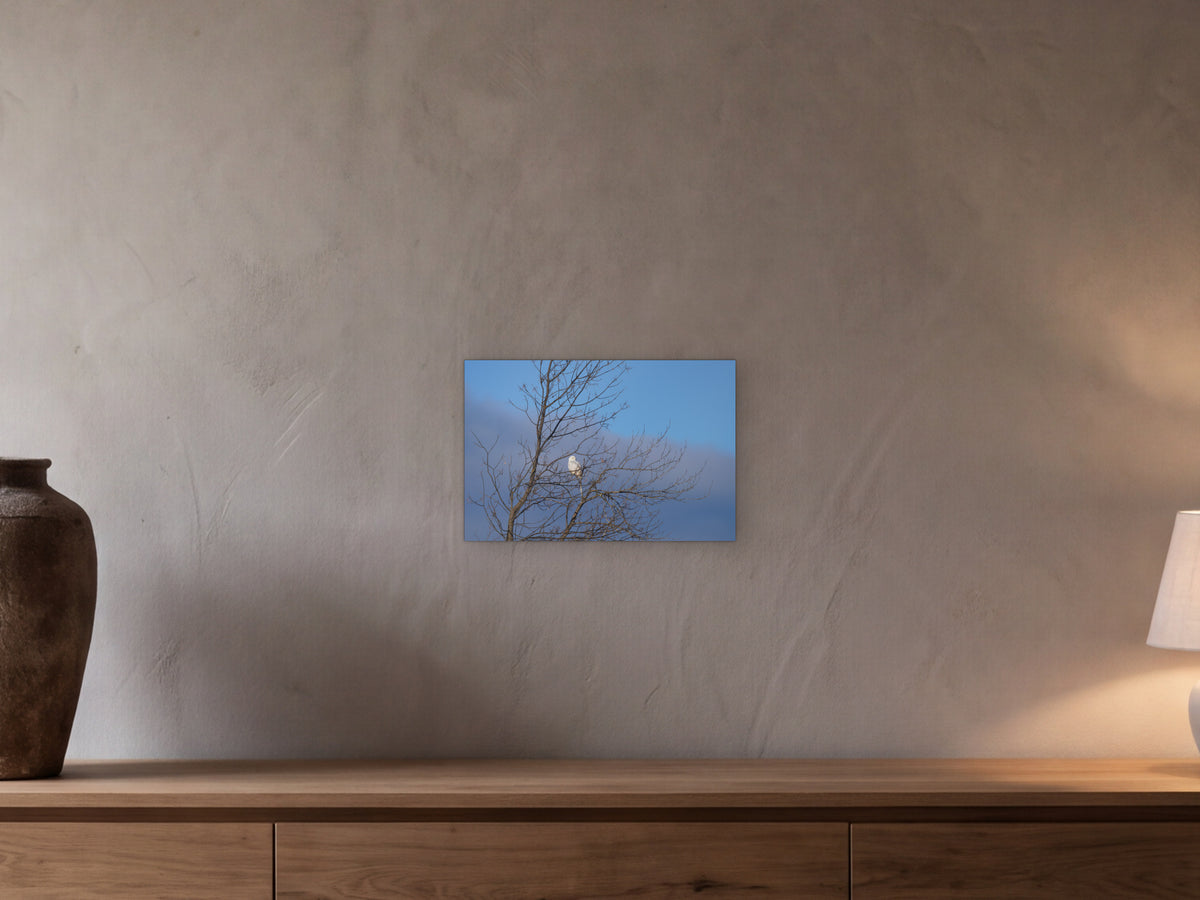 Snowy owl in tree shown in a beamed room with a greige plaster wall above a long oak sideboard - scale render at 45 × 30 cm