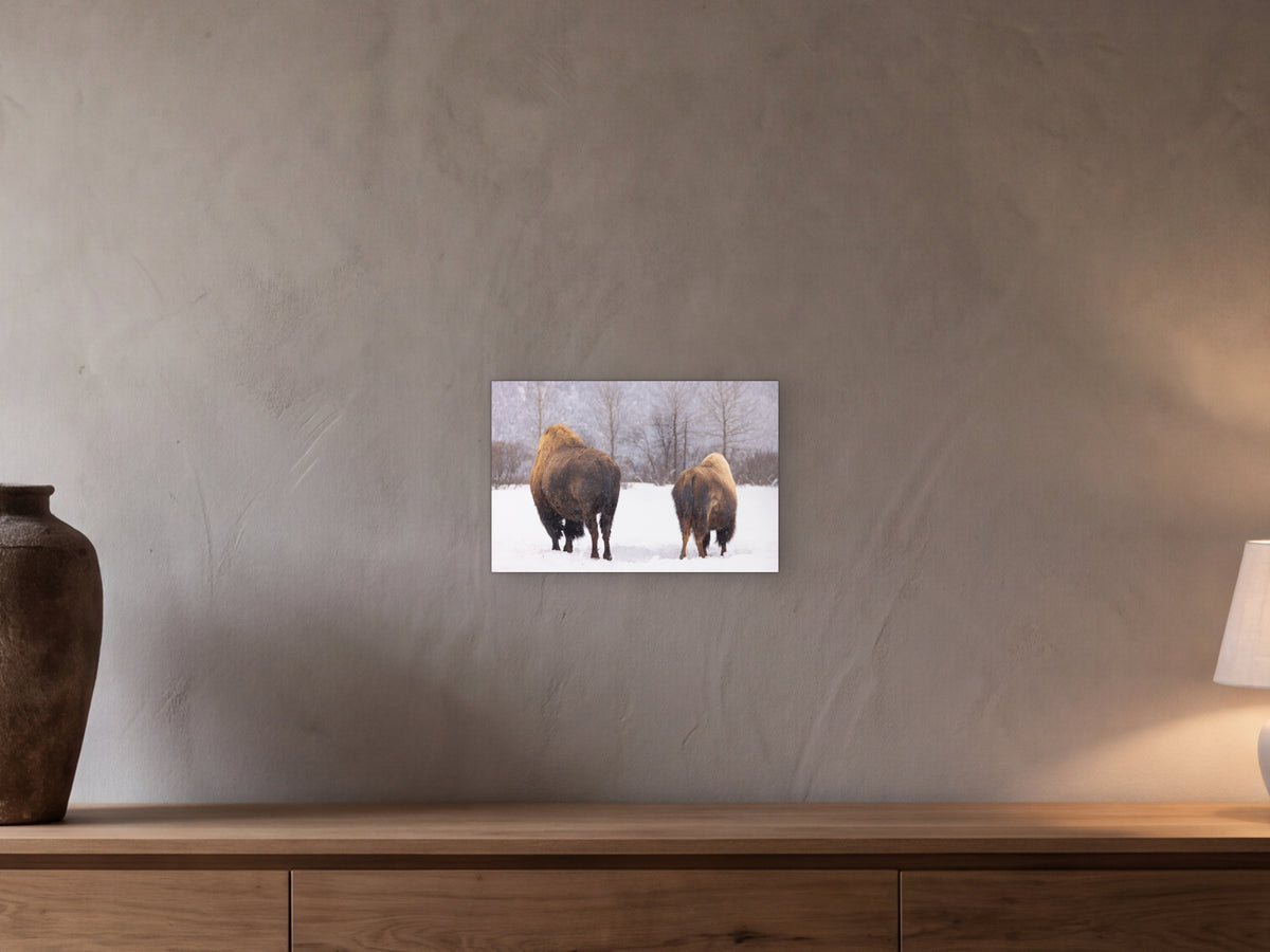 Wood bison in snow, Alaska shown in a beamed room with a greige plaster wall above a long oak sideboard - scale render at 45 × 30 cm